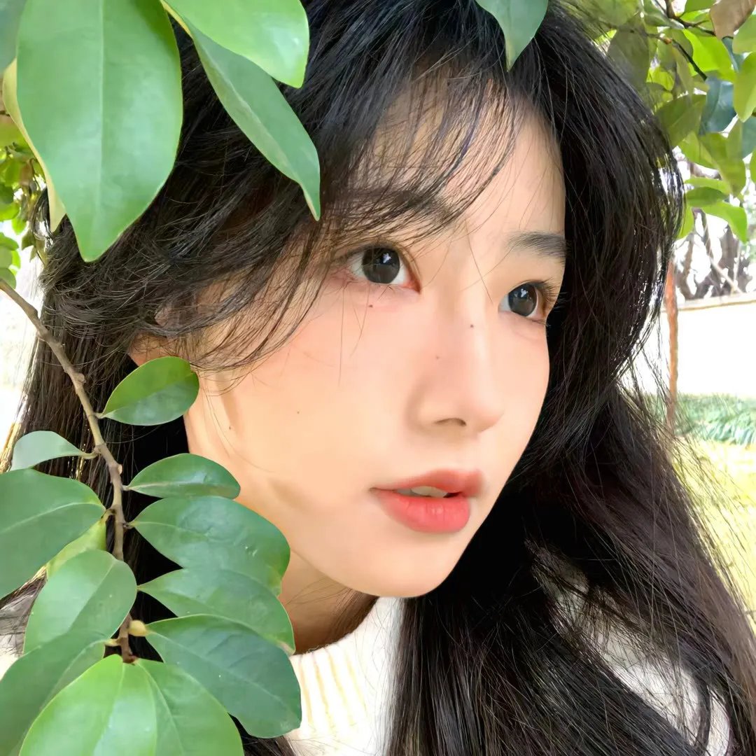 扑通扑通我的人生